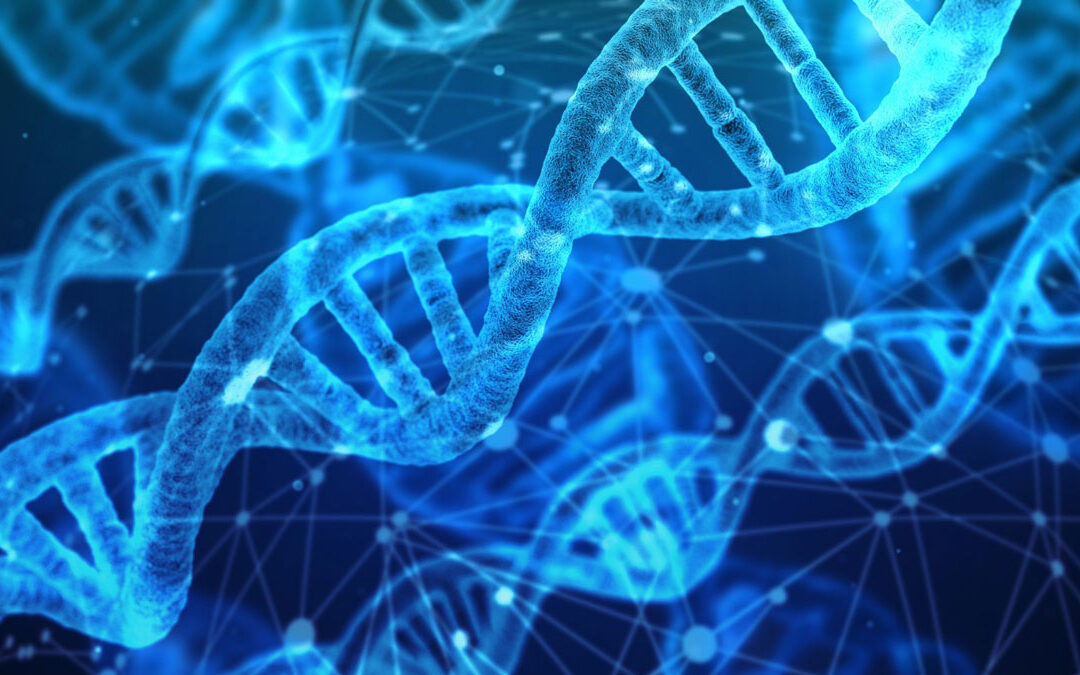 Sindrome di Alport e conseguenze sull’udito